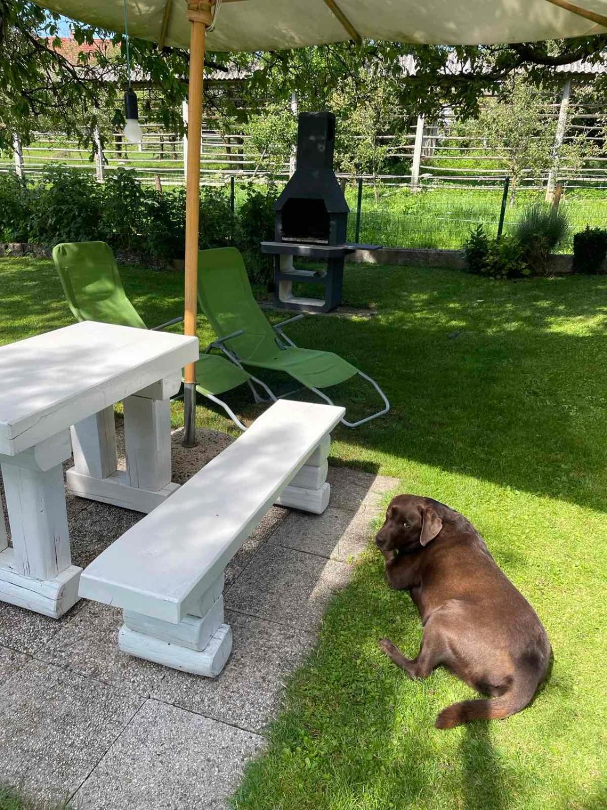 Apartma Pri Olgi Bled Eksteriør billede